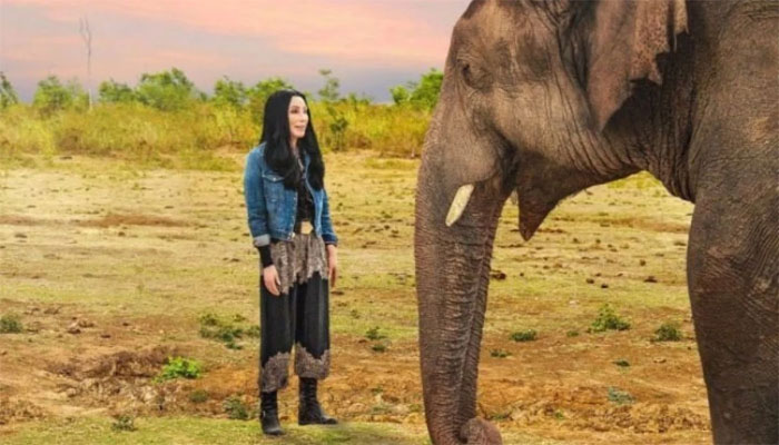 I didn’t know if I could help Kaavan: Cher