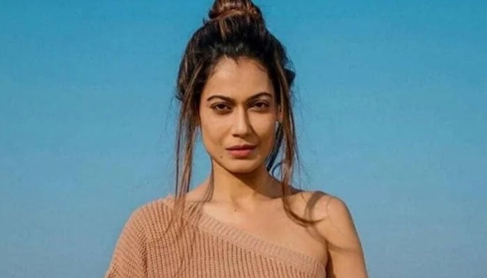 Police arrests Payal Rohatgi for allegedly abusing her neighbours