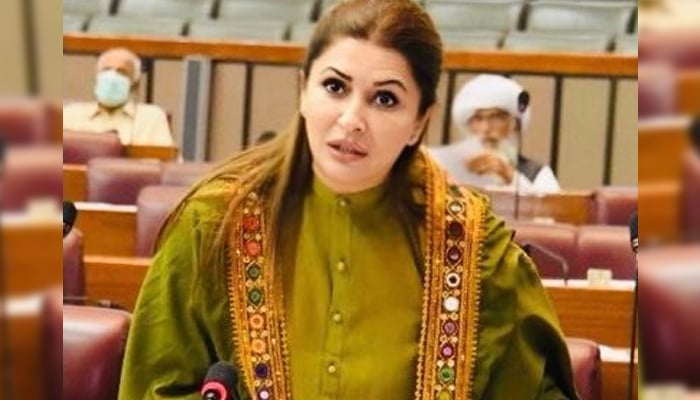 عمران خان کا بس چلے تو ایٹمی اثاثے مودی کو دیدیں، شازیہ مری