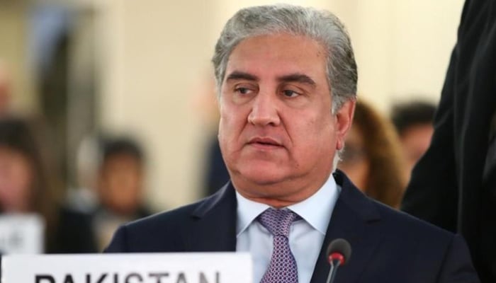 پاکستان کو گرے لسٹ میں رکھنے کا کوئی جواز نہیں، شاہ محمود