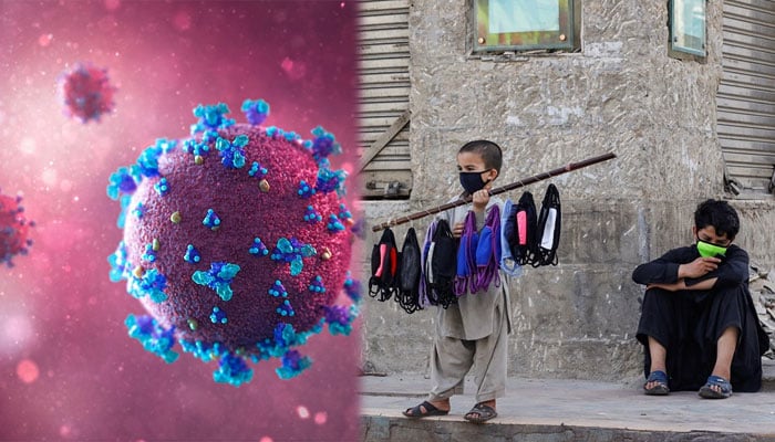 بلوچستان: کورونا کی شرح بڑھ کر 6.1 فیصد ہو گئی