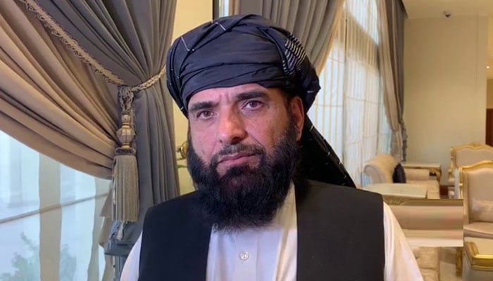 افغان طالبان کا اعلیٰ سطح کا وفد ایران بھیج دیا ہے، سہیل شاہین