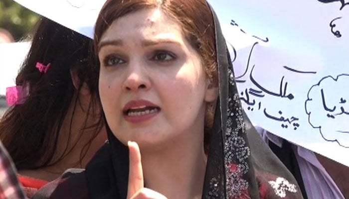 برہان وانی نے 8 لاکھ بھارتی فوج کو نہتے للکارا، مشعال ملک