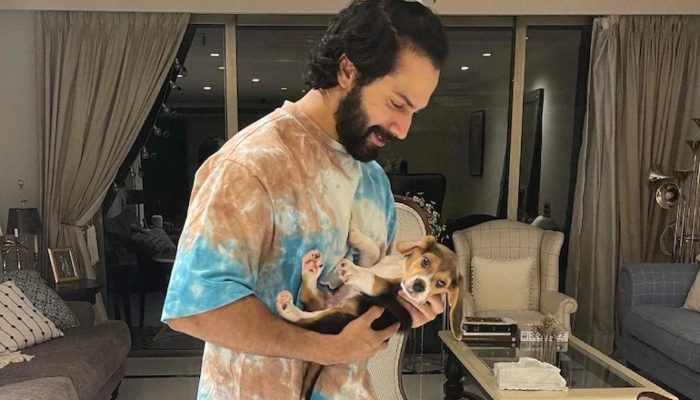 Varun Dhawan’s latest adorable video with his furry friend Joey leaves fans in awe