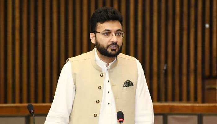 مریم نواز کشمیر انتخابی مہم میں ابو بچاؤ کی فریاد لگارہی ہیں، فرخ حبیب
