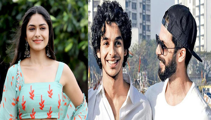 Shahid Kapoor, Ishaan Khatter both are extremely different: Mrunal Thakur