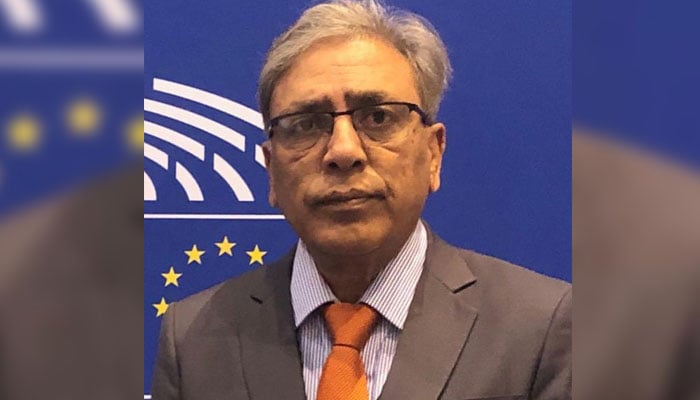 یورپی یونین مقبوضہ کشمیرمیں انسانی حقوق کی پامالیوں کو رکوائے، علی رضا سید