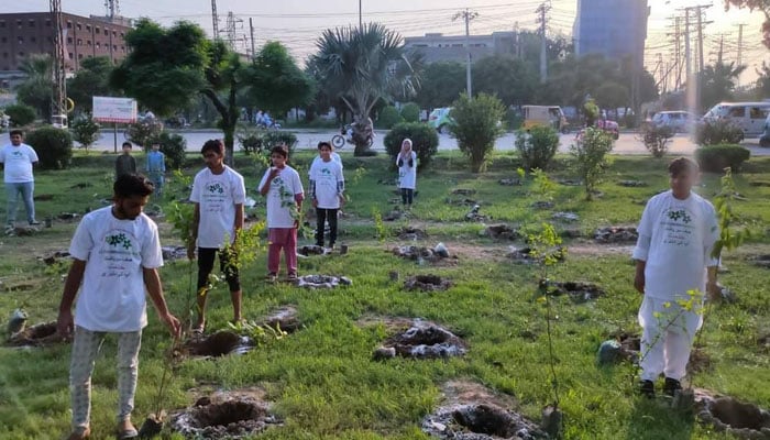 پاکستان نے ایک منٹ میں 50 ہزار پودے لگانے کا عالمی ریکارڈ بنا ڈالا