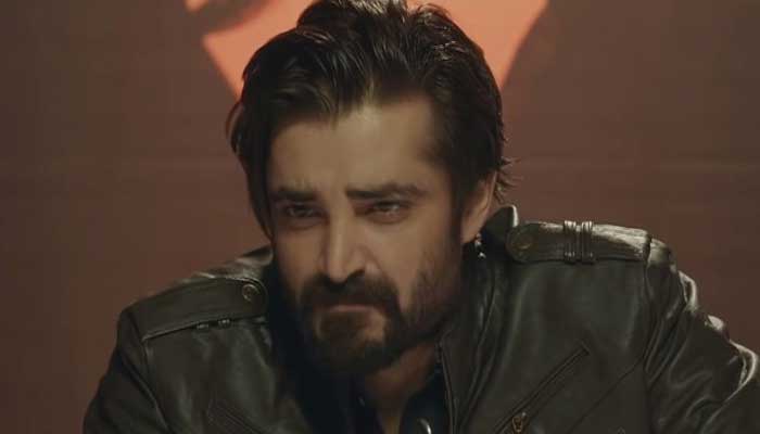 Hamza Ali Abbasi all praise for Biryani seller post viral video