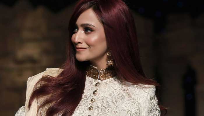 Zarnish Khan receives backlash on recent video snippet: Watch 