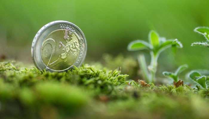 یورپین یونین کا 250 ارب یورو کے گرین بانڈ جاری کرنے کا اعلان