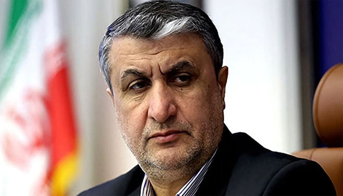 ایرانی نائب صدر جوہری تعاون پر بات چیت کیلئے روس پہنچ گئے