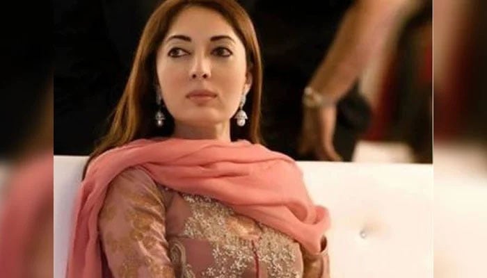 شرمیلا فاروقی نے لاہوری سے شادی کرنے کا نتیجہ بتادیا