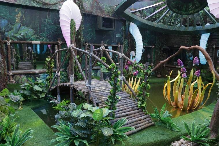 'Bigg Boss season 15:' A look inside this year's jungle-themed house