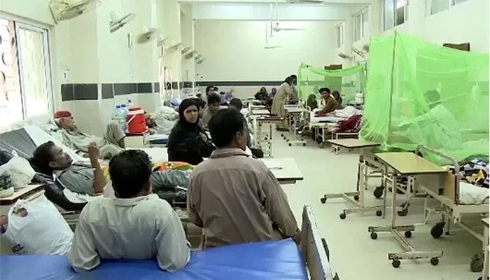 پشاور، مزید 371 افراد میں ڈینگی کی تصدیق