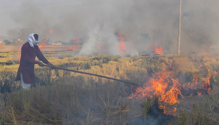پنجاب میں اسموگ، فصلوں کی باقیات، کچرا جلانے پر پابندی