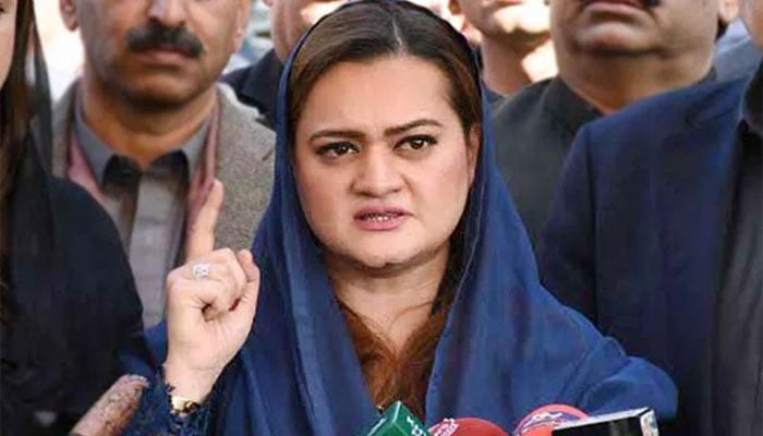 ملک کی بربادی کے قصور وار صرف عمران خان ہیں، مریم اورنگزیب