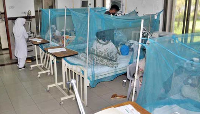 سندھ: 24 گھنٹوں میں 44 افراد ڈینگی وائرس کا شکار