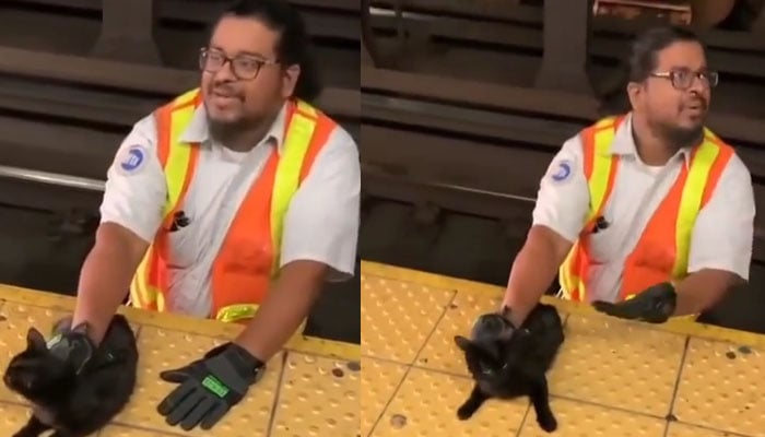 بلی کو ٹرین کی زد میں آنے سے بچانے والا شخص