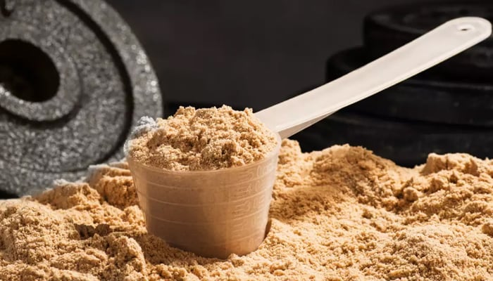 How is the use of protein powder for health? ( پروٹین پاؤڈر کا استعمال صحت کیلئے کیسا ہے؟ )