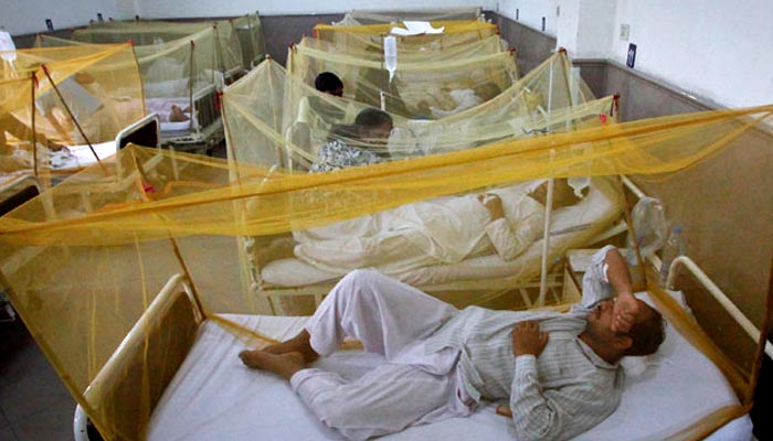 رواں سال سندھ میں ڈینگی سے 15 اموات