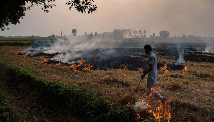 بھارت میں فصلوں کی باقیات جلانے سے آلودگی میں اضافہ