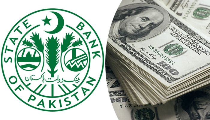 کابینہ کی سعودی ڈالرز اسٹیٹ بینک میں رکھنے کے معاہدے کی منظوری