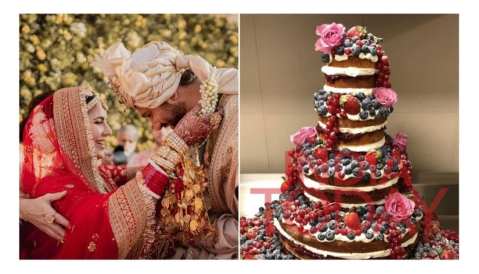 Did Vicky Kaushal, Katrina Kaif cut expensive 5 -tier cake for their wedding?