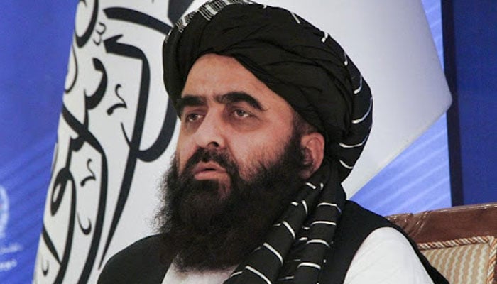 افغانستان نے داعش پر کنٹرول کیا ہے، امیر خان متقی