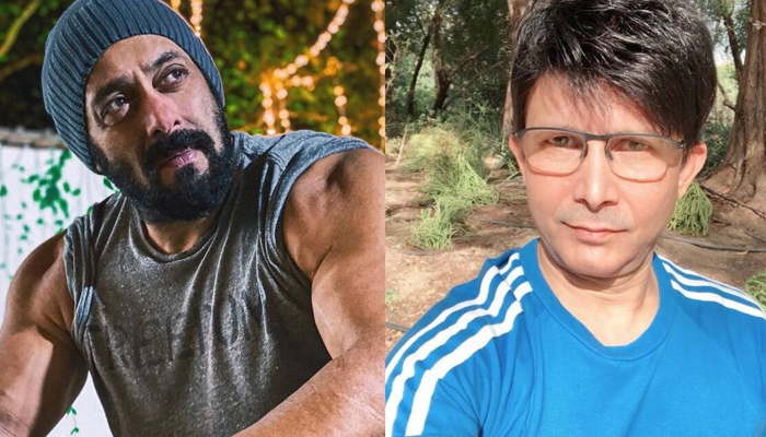 سانپ نے کام تو ٹھیک کیا تھا، فائل فوٹو