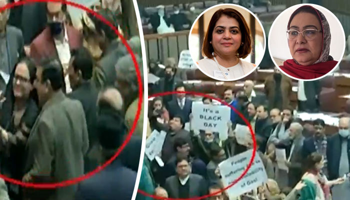 گزشتہ روز قومی اسمبلی میں ہوئی جھڑپ کے مناظر، چھوٹی تصاویر دائیں شگفتہ جمانی جبکہ بائیں غزالہ سیفی کی ہیں