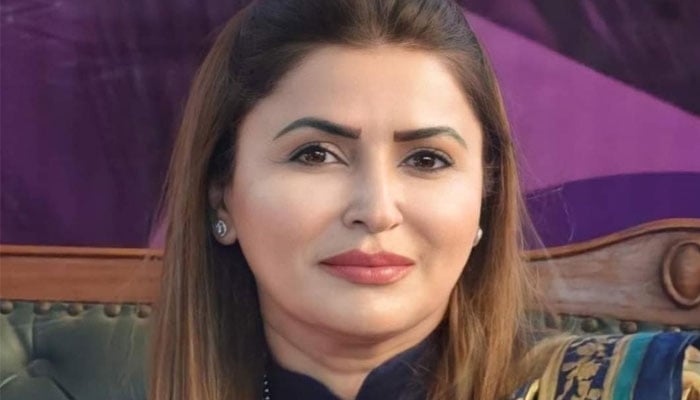 بیروزگاری سندھ میں زیادہ یا خیبرپختونخوا میں؟ شازیہ مری نے اعداد و شمار پیش کردیے