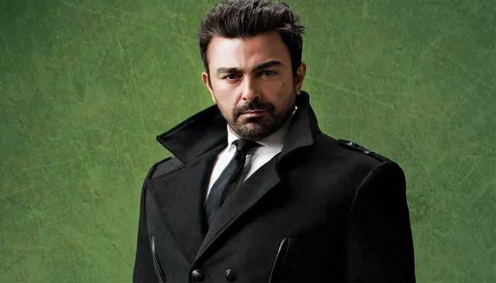 Here's Why Shaan Shahid refused big Bollywood offer 