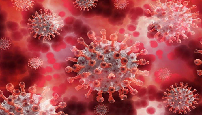 سندھ میں کورونا وائرس کے مزید 6 مریض دم توڑ گئے