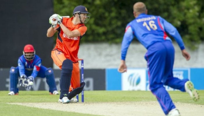 Afghanistan also defeated Netherlands in the second ODI