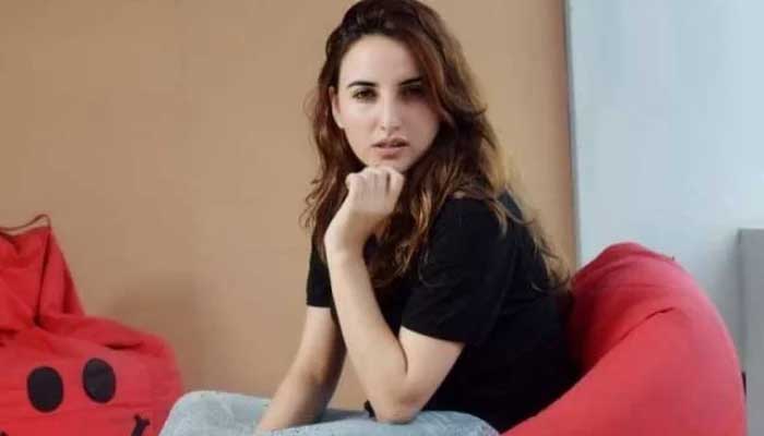 Hareem shah hires lawyer to fight her money-laundering case