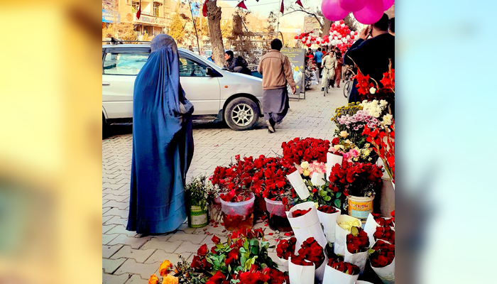 فوٹو، ٹوئٹر