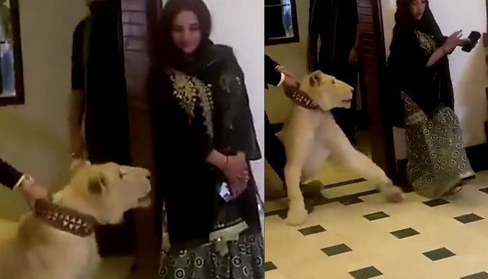 اسکرین گریب