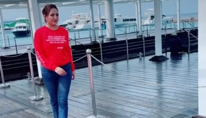 اسکرین گریب