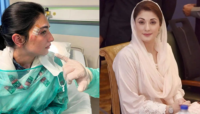 مریم نواز آصفہ بھٹو کی جلد صحت یابی کے لیے دعاگو