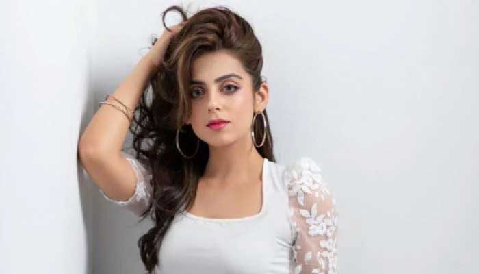 Yashma Gill becomes victim of street crime in Karachi