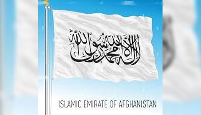 تمام سرکاری دفاتر سے افغانستان کا جھنڈا اُتارنے کا حکم