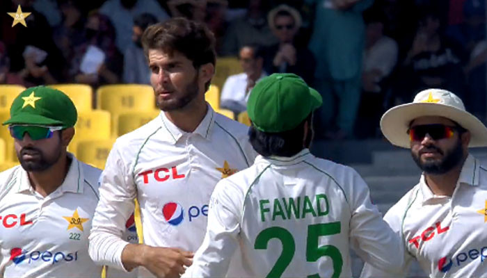 Video, How did Shaheen Shah dismiss Mitchell Swapson?