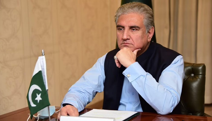 ہوسکتا ہے اس وزارت کا یہ میرا آخری خطاب ہو، شاہ محمود قریشی