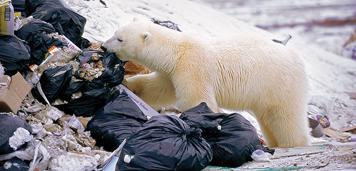 پلاسٹک ہمارا ماحول برباد کردے گا...
