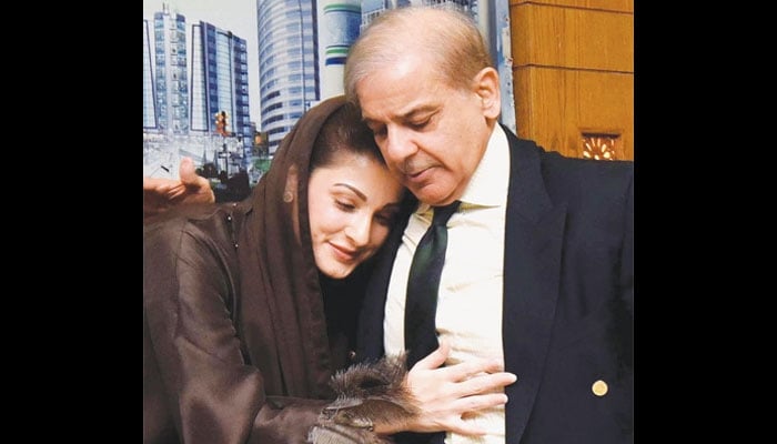 مریم نواز نے اپنی خوشی ایک ٹوئٹ میں بیان کردی