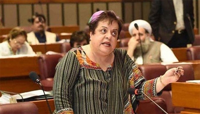 عمران خان نے سیاسی ڈیڈلاک میں مصالحت کے لیے فوج کو مدد کے لئے نہیں بلایا تھا، شیریں مزاری