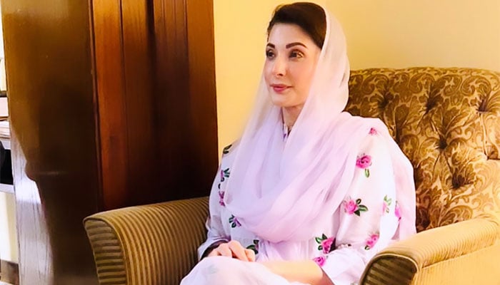 مریم نواز کا صدر مملکت عارف علوی کو گھر جانے کا مشورہ