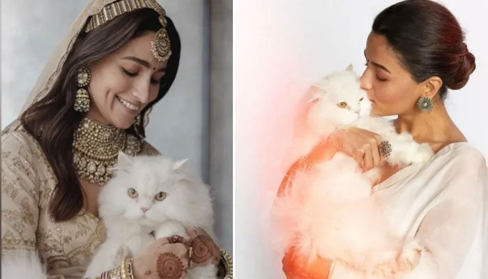 Alia Bhatt drops adorable pictures from her big day with 'cat of honour'