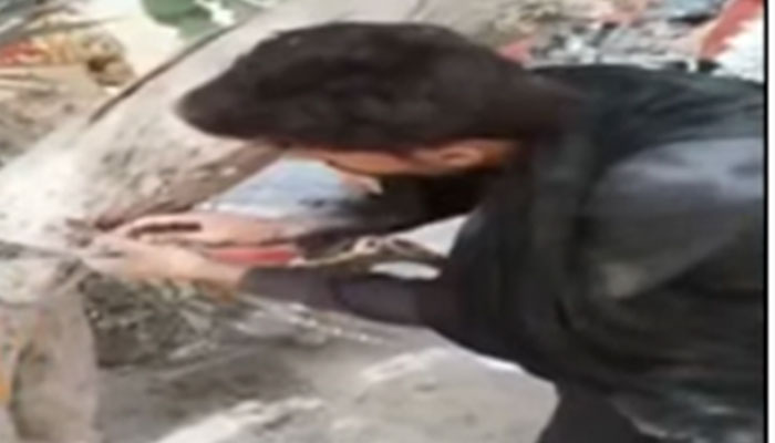 کبیروالا میں شوہر نے بیوی کو زنجیروں میں جکڑ کر درخت سے باندھ دیا
